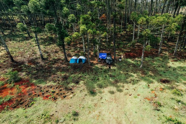 Economical Adventures: Your Complete Guide to Exploring Canterbury Cathedral on a Budget