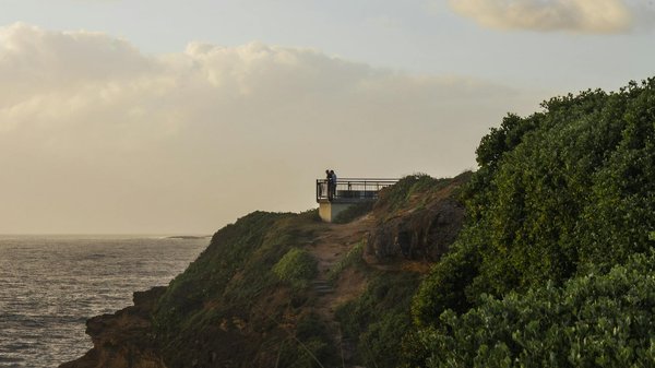 Disneyticketswebsite