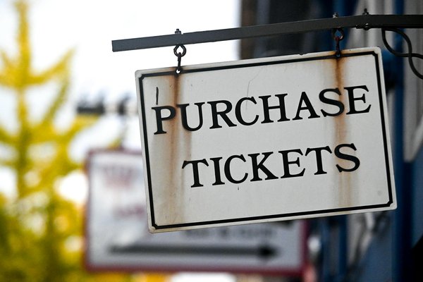 Discover Your Perfect Lake District Escape: Embrace Tranquil Forest Bathing Adventures in Nature